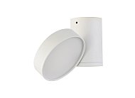 Накладной светильник Donolux DL18811/15W White R MOON