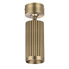 Потолочный светильник поворотный Odeon Light 7013/1C MANCHESTER