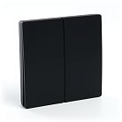 Выключатель беспроводной FERON 41723 TM82 SMART, 230V, 500W, двухклавишный, черный