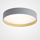 Потолочный светильник NETTY D40 Grey ImperiumLoft 224017-23 netty01