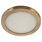 Точечный светильник AM Group AM292 6W AB 4000K R AM292