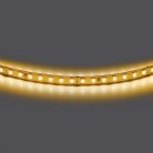 Светодиодная лента 5 м Lightstar 420843
