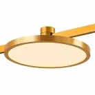 Магнитный трековый светильник ST818.246.12 FARM