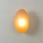 Настенный светильник Cloyd 20376 Geroll