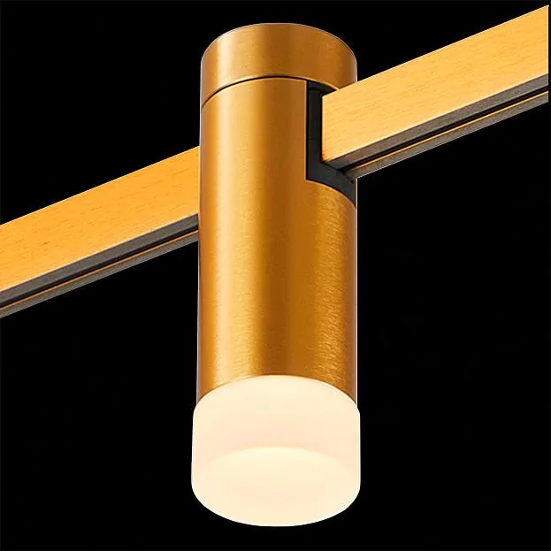 Магнитный трековый светильник ST Luce ST812.206.03 FARM