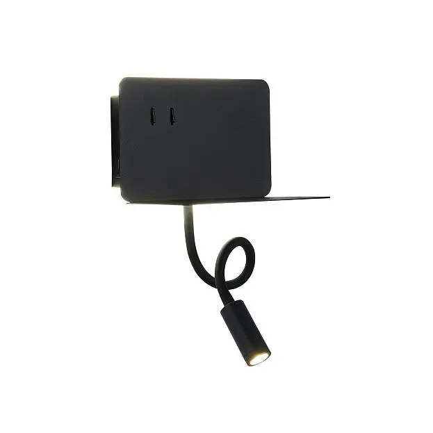 Светильник настенный ST LUCE SL1576.401.02 PINAGGIO