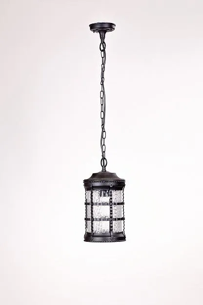 Уличный светильник подвесной Oasis Light 81205 Bl