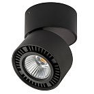 Накладной светильник Lightstar 213817 FORTE MURO