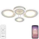 Накладная люстра Natali Kovaltseva LED LAMPS 81196