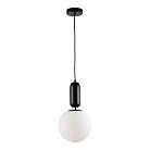 Подвесной светильник Lussole LSP-8590 Cleburne