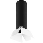 Потолочный светильник Lightstar R497436 Rullo