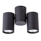Светильник Потолочный Arte Lamp A1511PL-2BK GAVROCHE