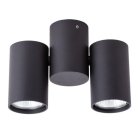 Светильник Потолочный Arte Lamp A1511PL-2BK GAVROCHE