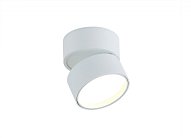 Накладной светильник Donolux DL18960R12W1W BLOOM