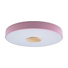 Потолочный светильник Loft It 10003/24 Pink Axel