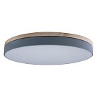 Потолочный светильник Loft It 10001/36 Grey Axel