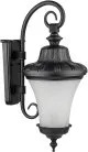 Настенный фонарь уличный Oasis Light 86402 Bl ELBA