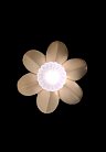 Бра Fluorite SP1015-1W Flor