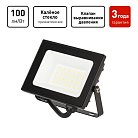 Прожектор уличный ЭРА LPR-062-0-65K-020