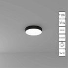 Потолочный светильник Arte Lamp A7335PL-1BK FADO