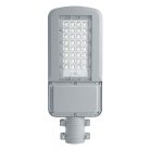 Уличный консольный светильник Feron 41548 SP3040