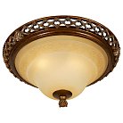 Накладной светильник WERTMARK WE342.03.627 Adora