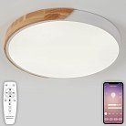 Потолочный светильник светодиодный Natali Kovaltseva LED LAMPS 81182 Scandinavian