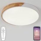 Потолочный светильник светодиодный Natali Kovaltseva LED LAMPS 81182 Scandinavian