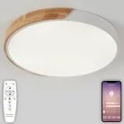 Потолочный светильник светодиодный Natali Kovaltseva LED LAMPS 81182 Scandinavian