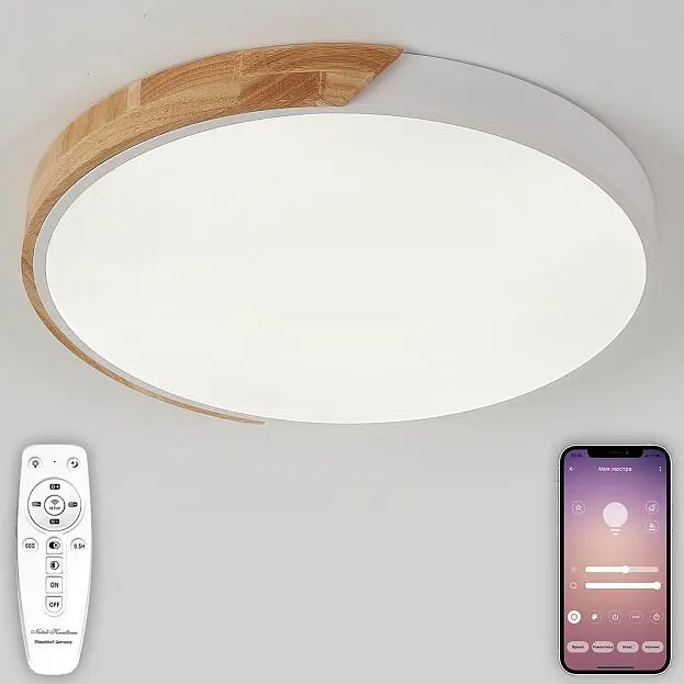 Потолочный светильник светодиодный Natali Kovaltseva LED LAMPS 81182 Scandinavian Потолочный светильник светодиодный Natali Kovaltseva LED LAMPS 81182 Scandinavian