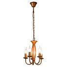 Подвесная люстра Lussole LSP-9913 CONGRESS