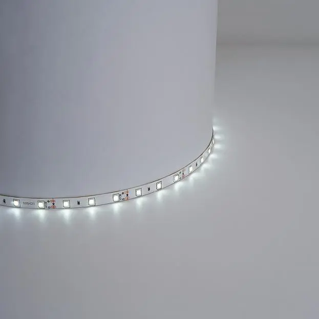 Cветодиодная лента Feron 48219 LS604, 60SMD(2835)/м 4.8Вт/м5м IP65 12V 4000К