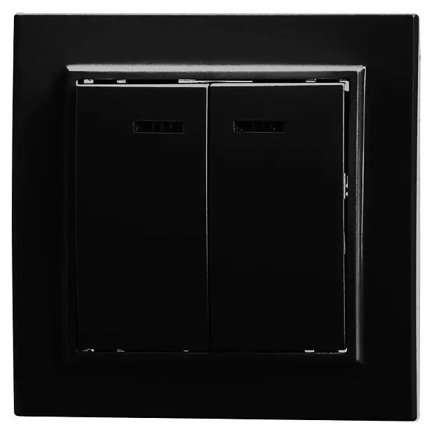 Выключатель 2-клавишный c индикатором STEKKER 39471, PSW10-9002-03, 250V, 10А Эрна, черный Выключатель 2-клавишный c индикатором STEKKER 39471, PSW10-9002-03, 250V, 10А Эрна, черный