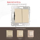 Выключатель двухклавишный проходной (на 2 направления), 10AX 250V Arte Milano 203.32-2.shampan am