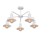 Люстра Vitaluce V4805-0/5PL лофт