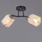 Потолочная люстра Reluce 01128-0.3-02