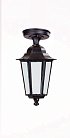 Потолочный светильник уличный Oasis Light 79805SA Bl PETERSBURG S