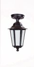 Потолочный светильник уличный Oasis Light 79805SA Bl PETERSBURG S