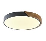 Светильник потолочный ZORTES ZRS.01280.72 ALBERRO
