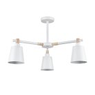 Люстра потолочная Е27 3*60W 220V Lumion 8097/3C ROSALINA