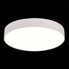 Потолочный светильник ST Luce ST606.542.48