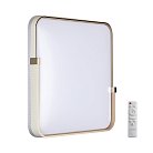 Настенно-потолочный светильник SONEX 7680/EL OLIDI WHITE