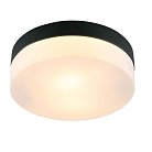 Потолочный светильник Arte Lamp A6047PL-2BK Aqua-tablet