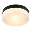 Потолочный светильник Arte Lamp A6047PL-2BK Aqua-tablet