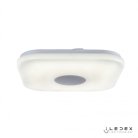 Потолочный светильник iLedex 24W SQUARE RGB+Opaque entire Jupiter
