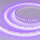 Светодиодная лента Arlight 043384 A120