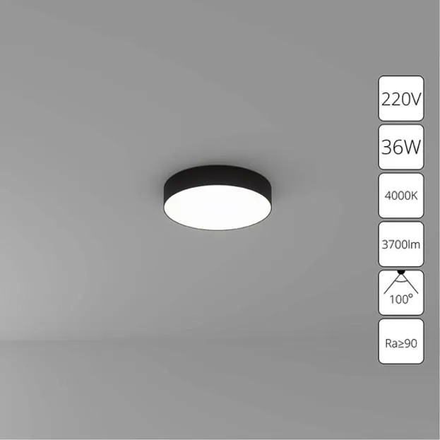 Потолочный светильник Arte Lamp A6635PL-1BK FADO