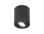 Накладной поворотный точечный светильник Ambrella Light TN226