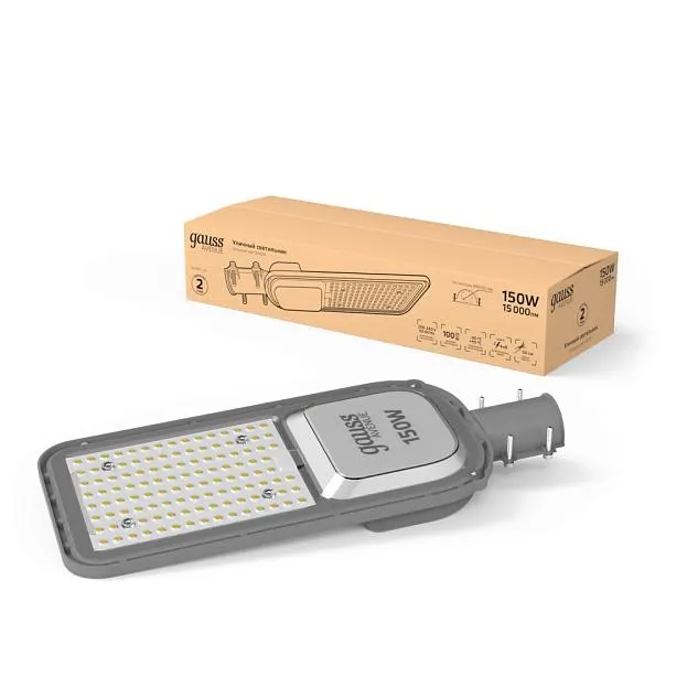 Уличный консольный светильник Gauss 629534405