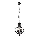 Светильник подвесной ST-Luce SL361.303.04 FORIATE
